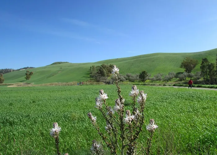 Auberge de jeunesse Bella Calabria Torre Ritani